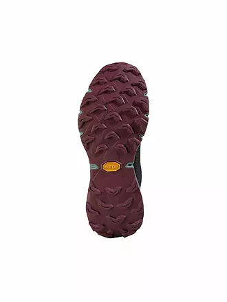 DYNAFIT | Damen Traillaufschuhe Ultra 100 GTX | 